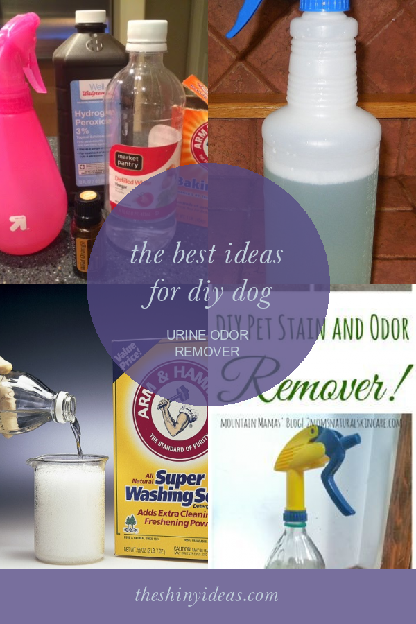 The Best Ideas for Diy Dog Urine Odor Remover Home, Family, Style and